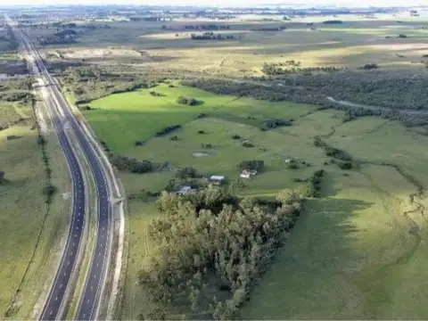Campo en venta de 82 Has., cerca de  ruta 9 y a 7 Km de la ciudad de Rocha