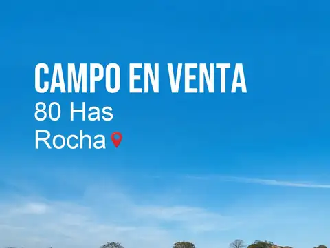 Campo en venta de 82 Has., cerca de  ruta 9 y a 7 Km de la ciudad de Rocha