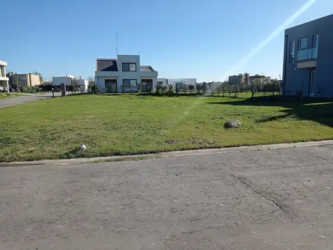 Terreno en Venta 31  mts Fondo