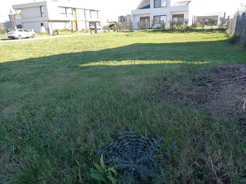 Terreno en Venta 21  mts Frente