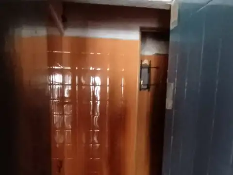 campichuelo 3100