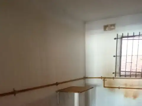 campichuelo 3100