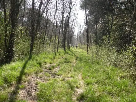 Sobre GONZALEZ Y ARAGON