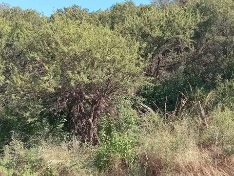 Terreno en Venta en Capilla del Monte, USD 28.000