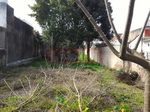 Marcos Larrea 316