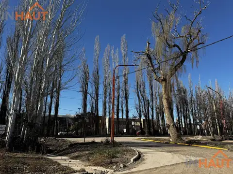 SOLANO LOPEZ Y PABLO NERUDA