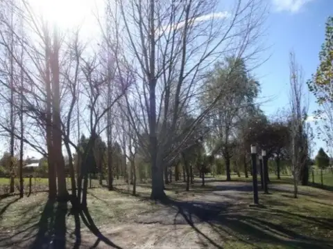 Terreno Lote  en Venta ubicado en Pilar Golf, Pilar, G.B.A. Zona Norte