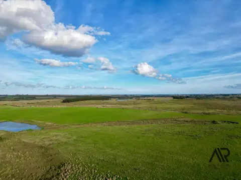 Chacras de 3ha/60 ha en Garzón, con caminería y luz en la portera.