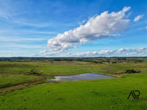 Chacras de 3ha/60 ha en Garzón, con caminería y luz en la portera.