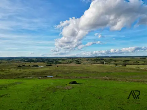 Chacras de 3ha/60 ha en Garzón, con caminería y luz en la portera.