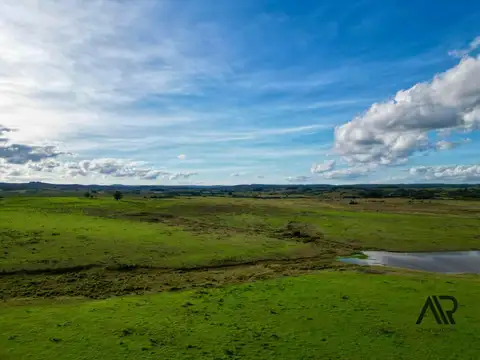 Chacras de 3ha/60 ha en Garzón, con caminería y luz en la portera.