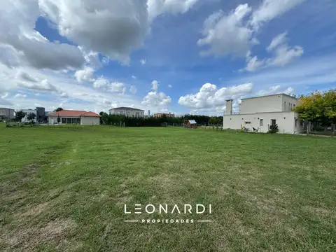 Haras Santa Maria - El Trébol Lote 1638