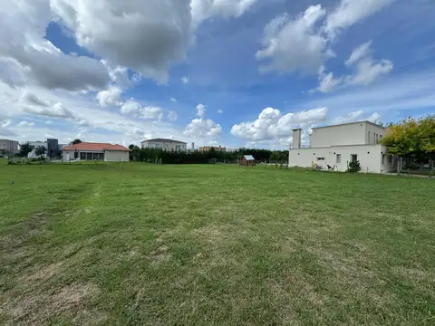 Haras Santa Maria - El Trébol Lote 1638