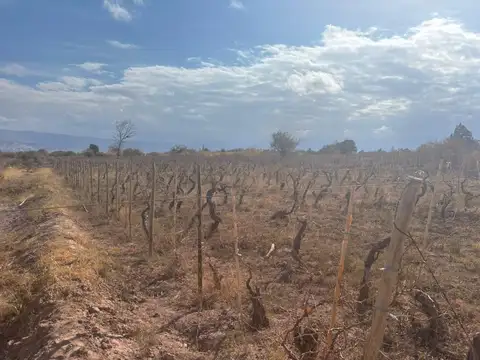 Terreno en Venta en Fiambala, USD 101.650