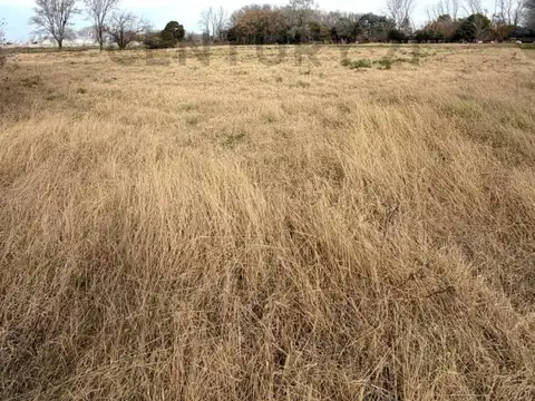 Terreno en Venta de 2030,0 m2