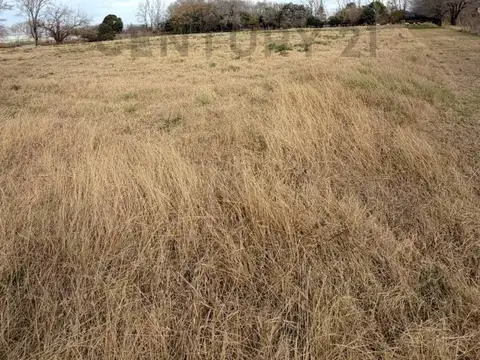 Terreno de 2.037m2 sobre Ruta 4-S de 24,55m x 83m
