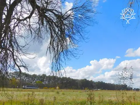 Barrio El Remanso - Exaltación de la Cruz