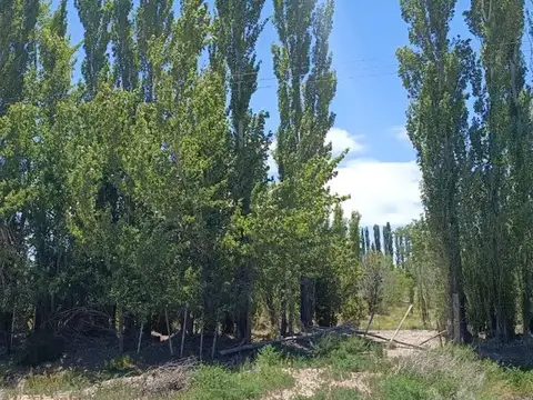 Ruta Provincial 17