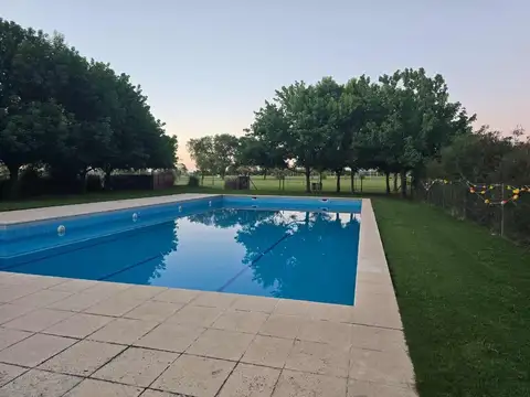 Roque Petrocchi 5300