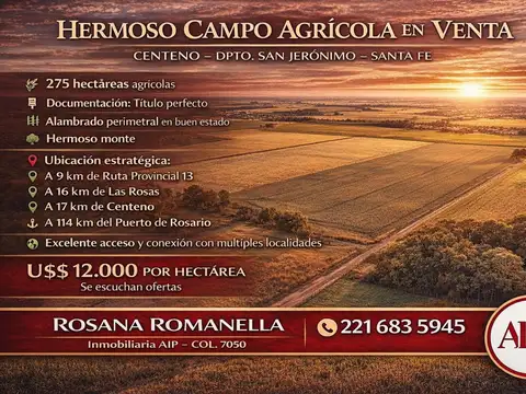 Campo - Centeno