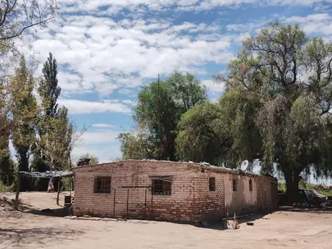 Costa Canal Montecaseros s/n km 19 Montecaseros San Martin Mendoza