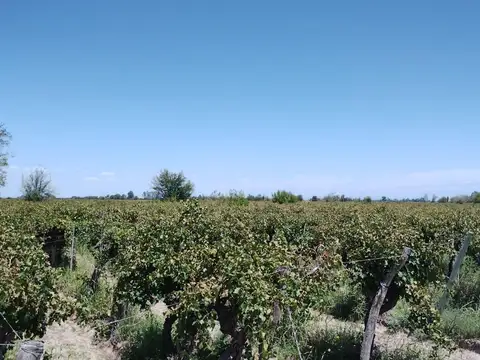 Finca en venta en San Martin