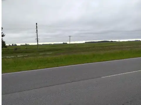 Ruta Provincial N°36 Km 132