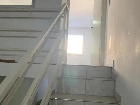 Timbues 100