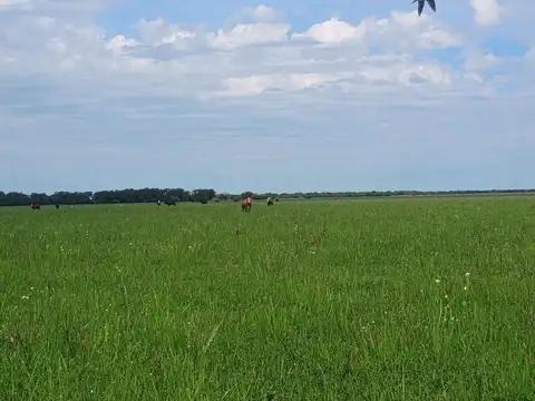 Camino rural
