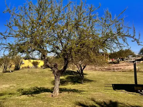 Casa en Venta con 4 cocheras