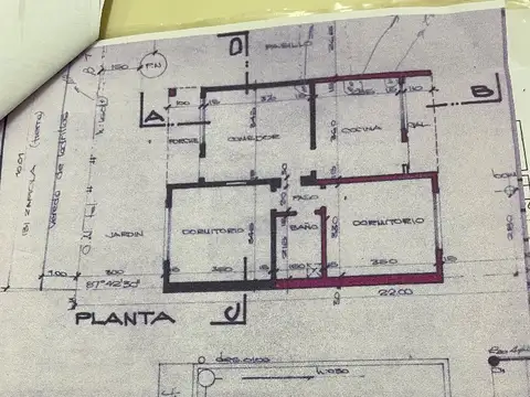 Agustín Pedemonte 1500