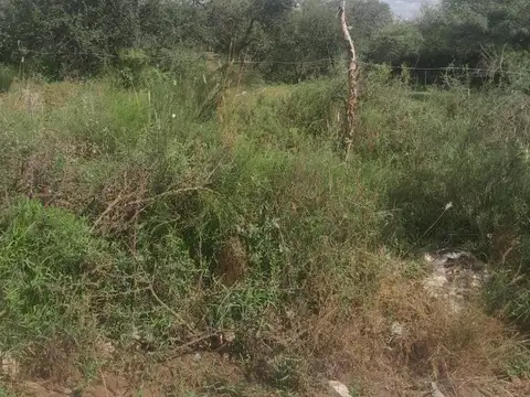 VENDO TERRENO EN COSQUIN CORDOBA
