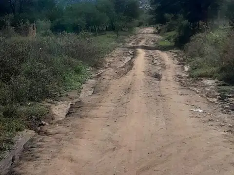Ernesto Cabezas Mz 29 L15