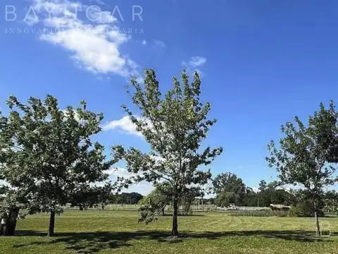 Venta \ Lotes en Club de Campo Los Palenques \ Manzanares