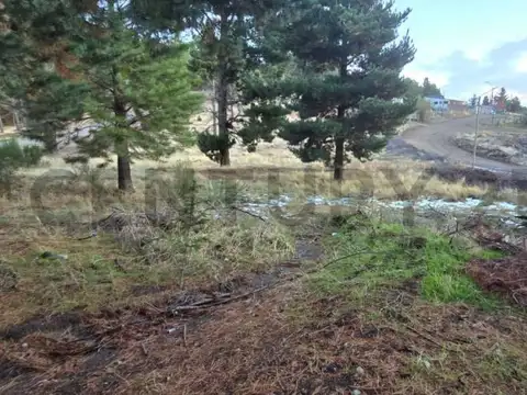 Los Nogales , Piso 0