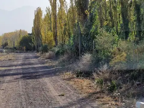 Terreno en Venta en Barreal, USD 25.000