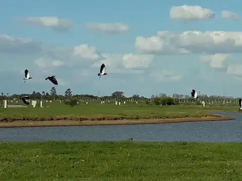 Terreno en Venta de 709,0 m2