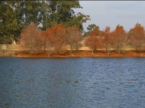 Terreno en Venta de 1505,0 m2