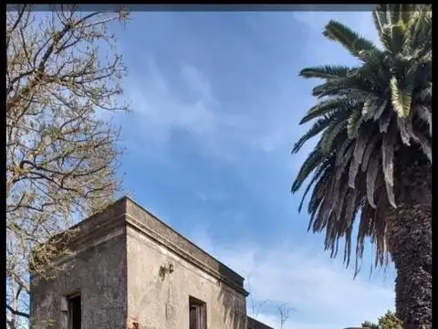 Rivadavia 800