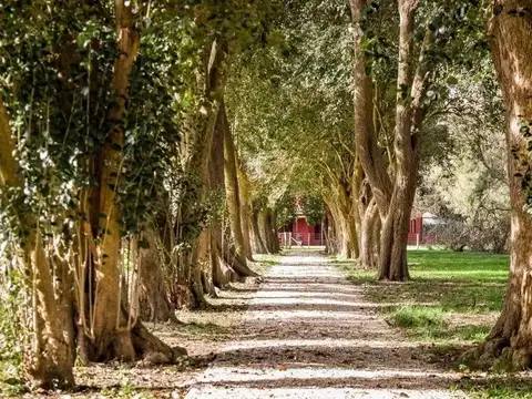 Club de Campo El Mirador
