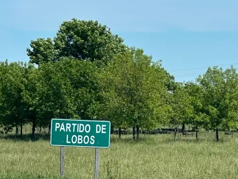 Terreno en Venta en Uribelarrea, USD 85.000