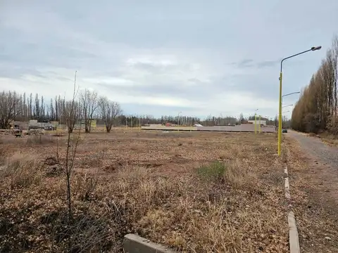 Terreno en Venta en Centenario, USD 60.000