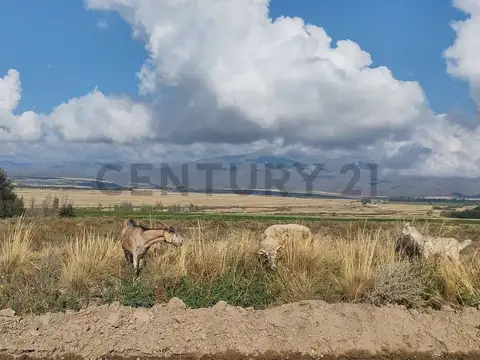 Terreno en Venta de 10665,0 m2