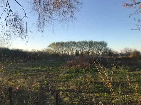 RESERVADA  VENTA LOTE - CASA QUINTA 1,36 HAS - LOBOS