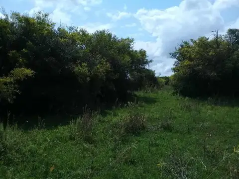 ruta 74 - km 5.5