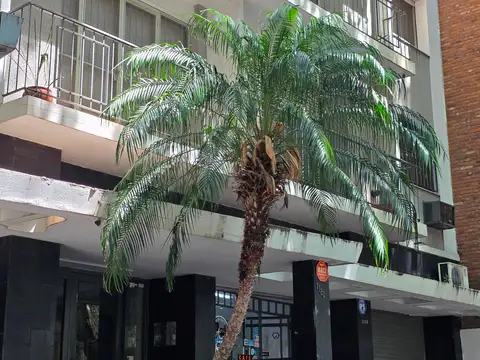 Departamento en Venta de 5 ambientes