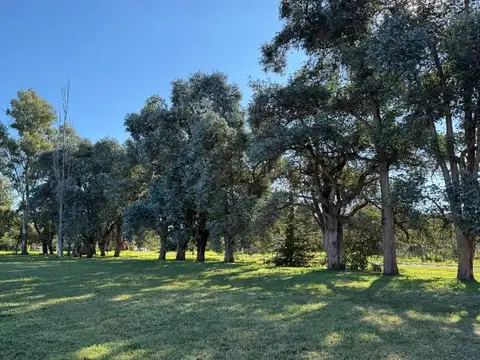 Terreno en Venta de 949,0 m2