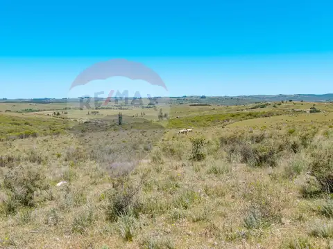 Chacra en venta entre R 39 y 12 - Oportunidad 