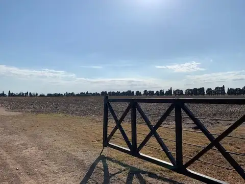 Zona Rural Del Partido De Ramallo,