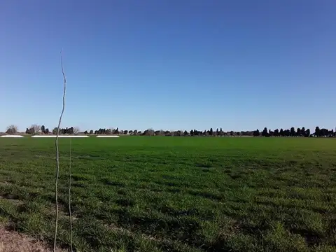CAMPO 70 HAS EN RAMALLO AGRICOLA, INDUSTRIAL E HIDROVIA